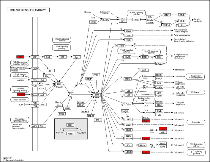 Fig 6