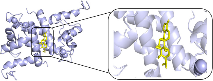 Fig 7