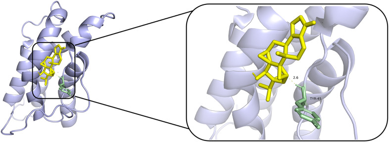 Fig 8
