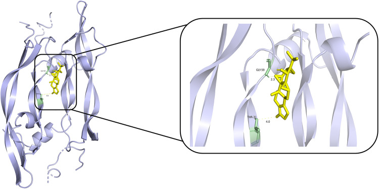 Fig 10