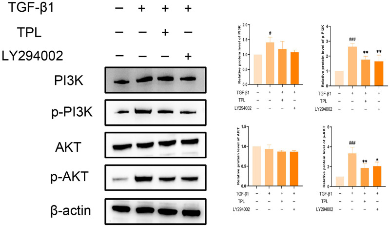 Fig 13