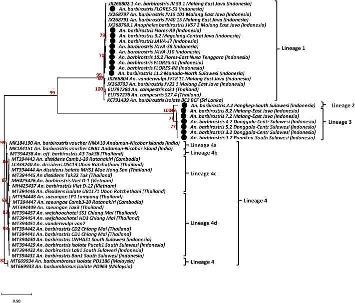 Fig 3