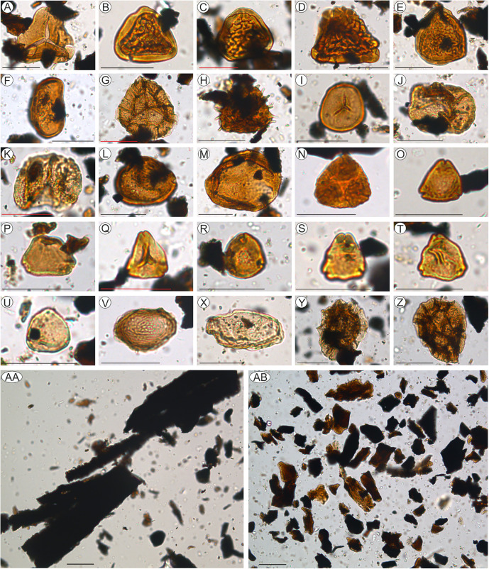 Fig 4