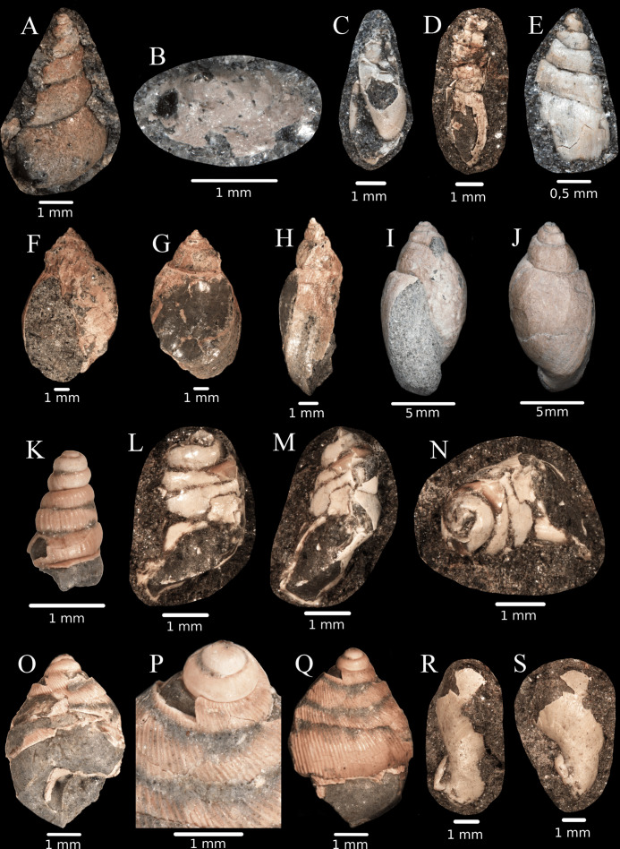 Fig 6