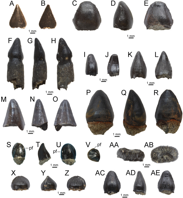 Fig 9