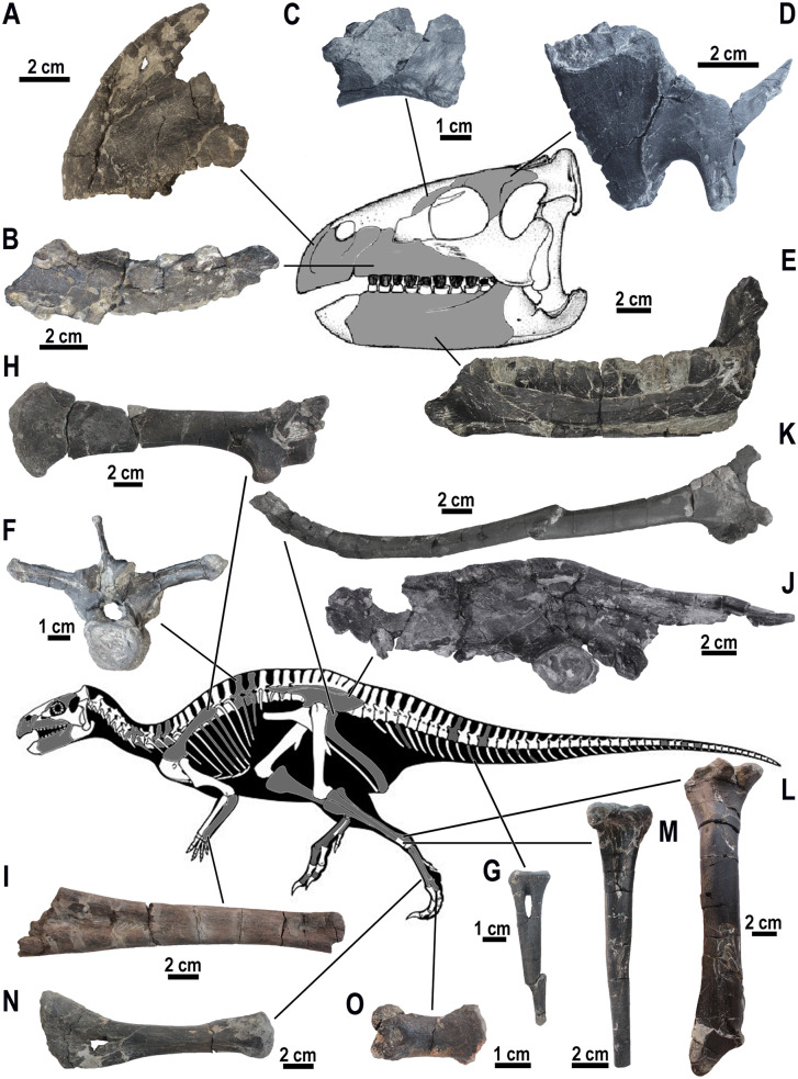 Fig 10