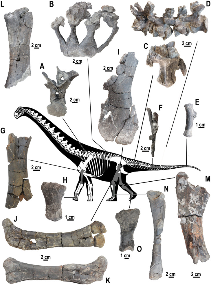 Fig 11