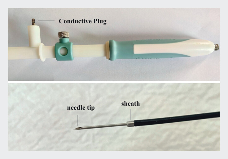 Fig. 1