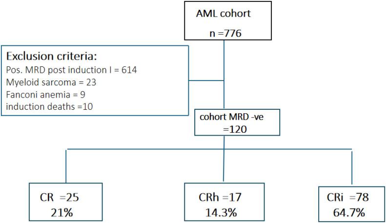 Figure 1