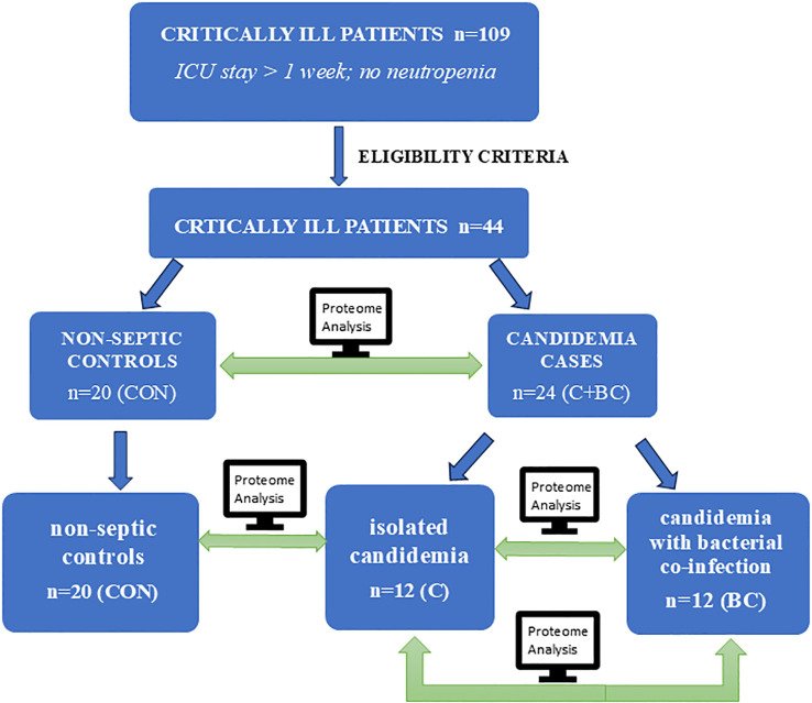 Figure 1