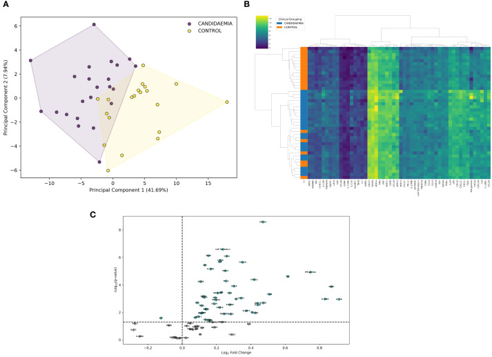 Figure 2