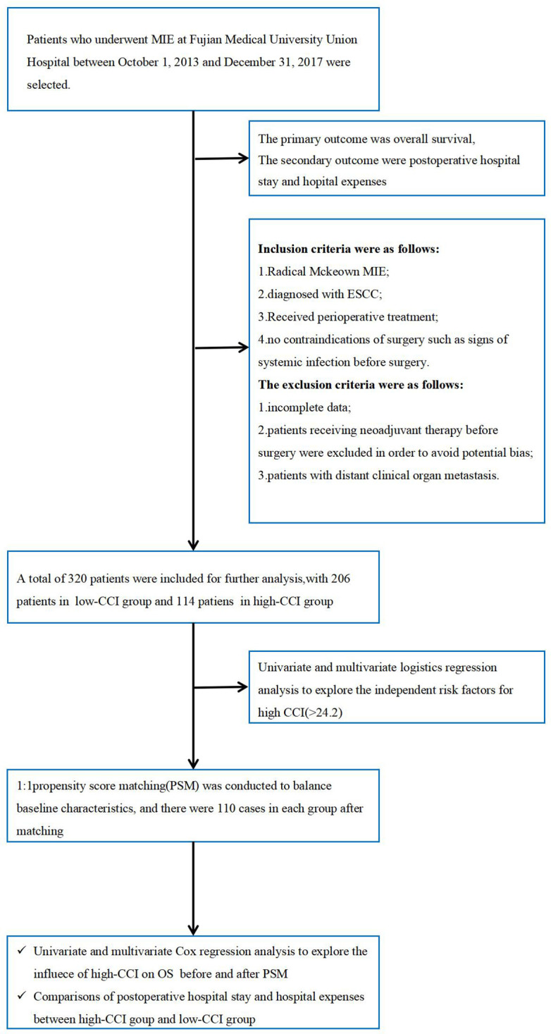 Figure 1