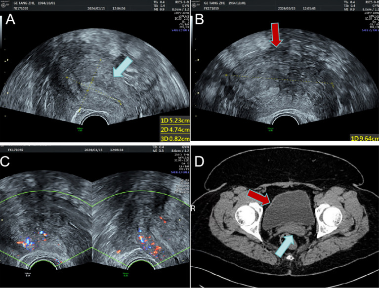 Figure 1