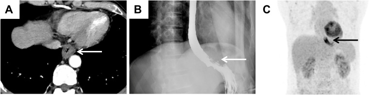 Figure 1