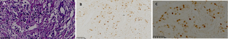 Figure 2