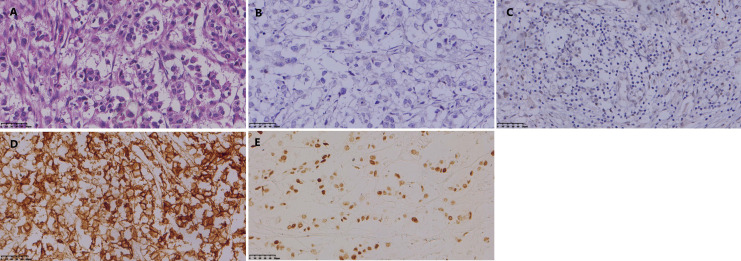 Figure 3