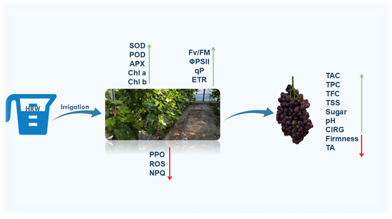 Figure 6