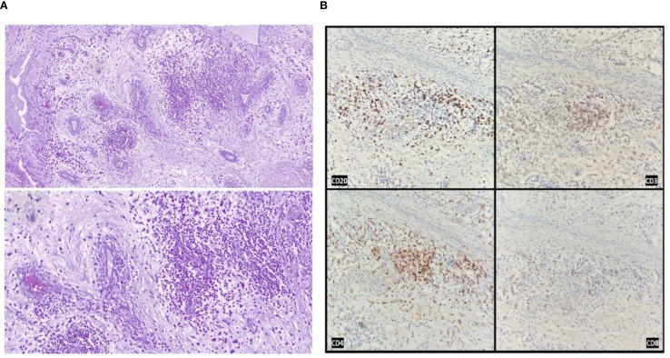 Figure 2