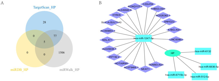 Figure 7