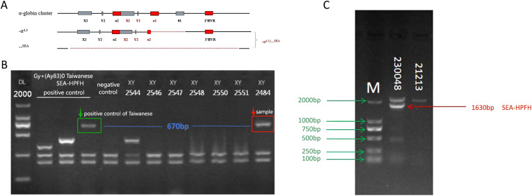 Figure 1