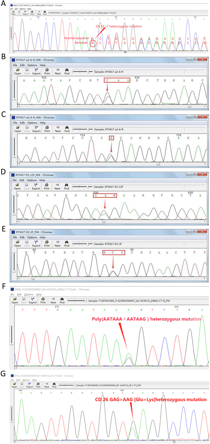 Figure 2