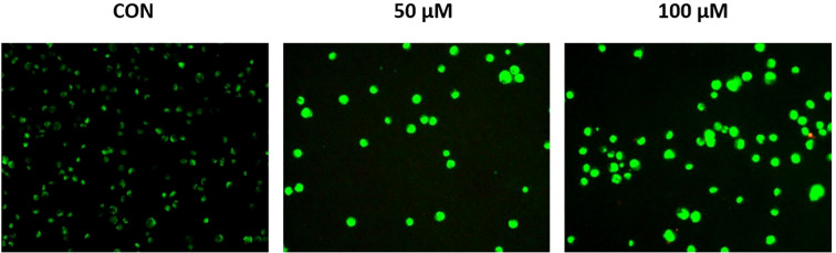 Figure 6