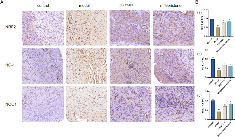 Figure 11