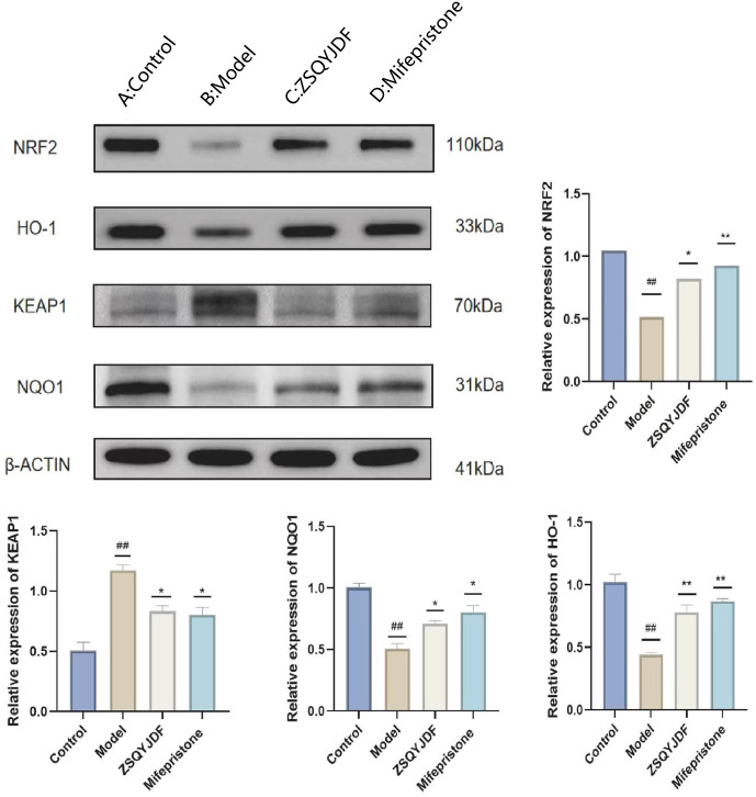 Figure 12