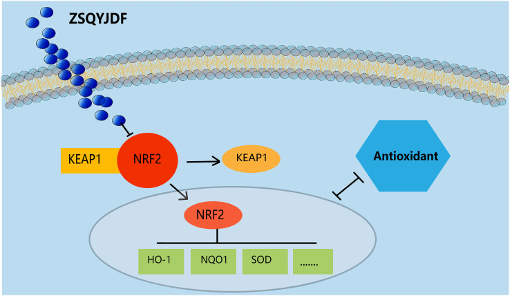 Figure 14