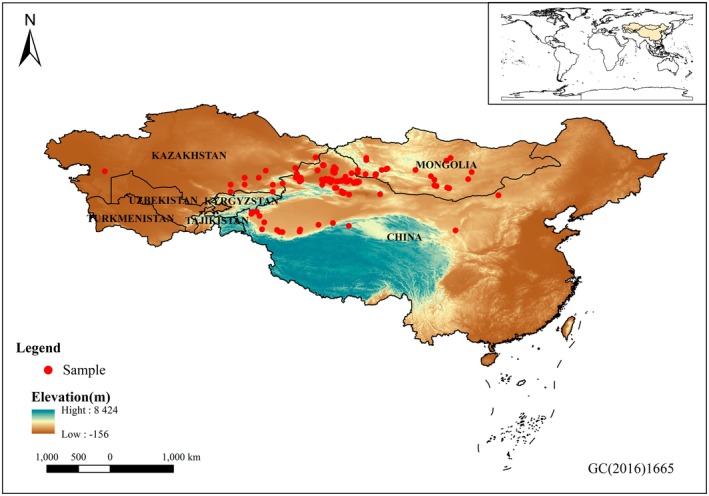 FIGURE 2