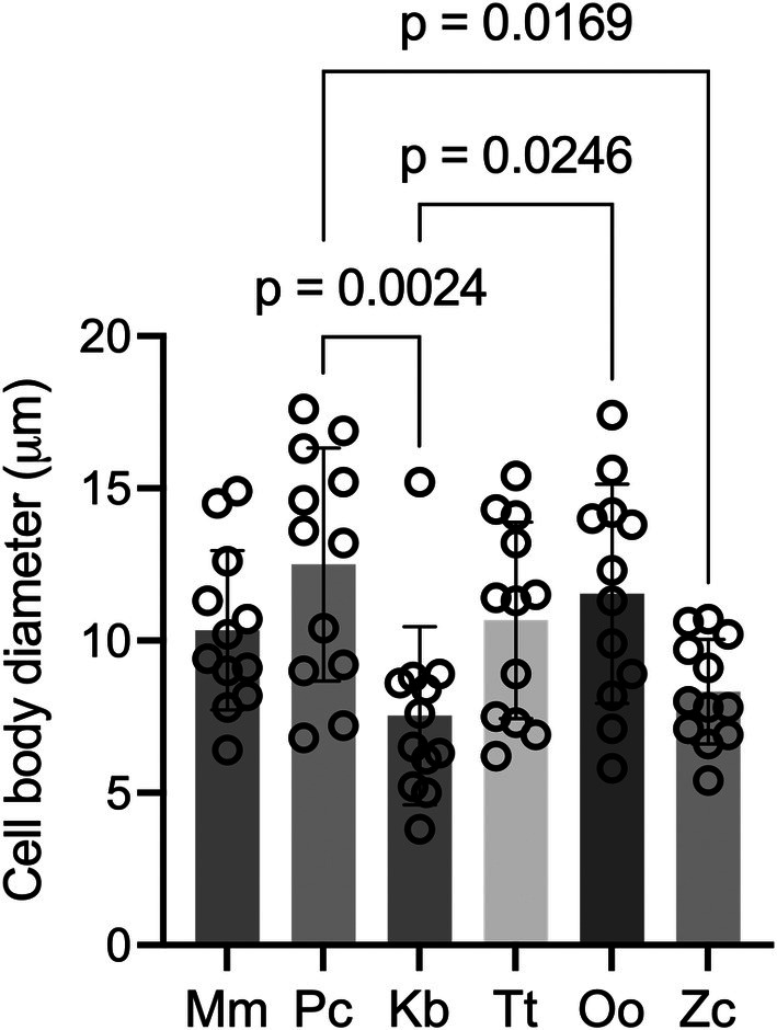 FIGURE 3