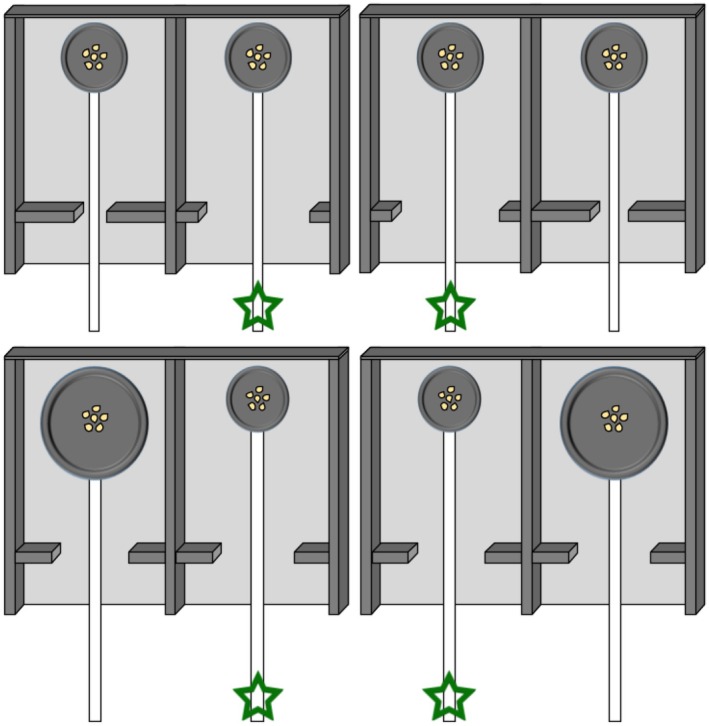 FIGURE 3