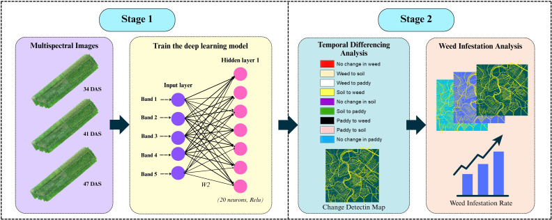 Figure 3