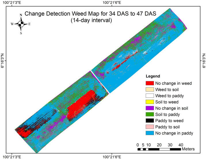 Figure 11