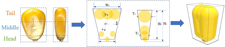 Figure 5