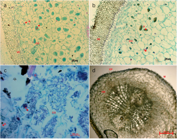 Figure 2