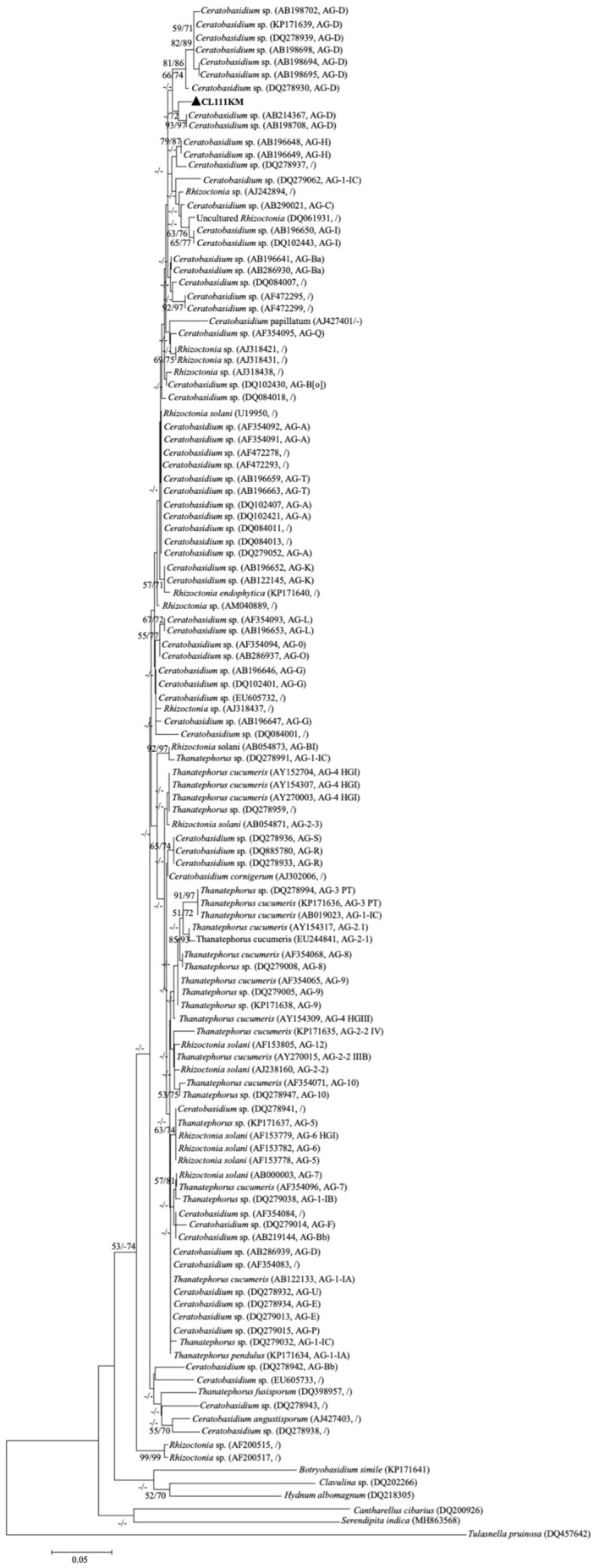 Figure 3