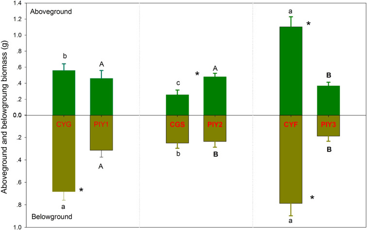 Figure 4