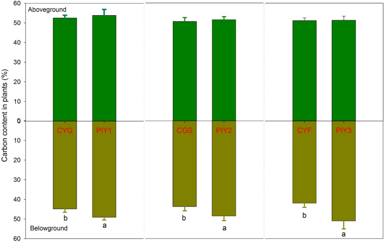 Figure 5