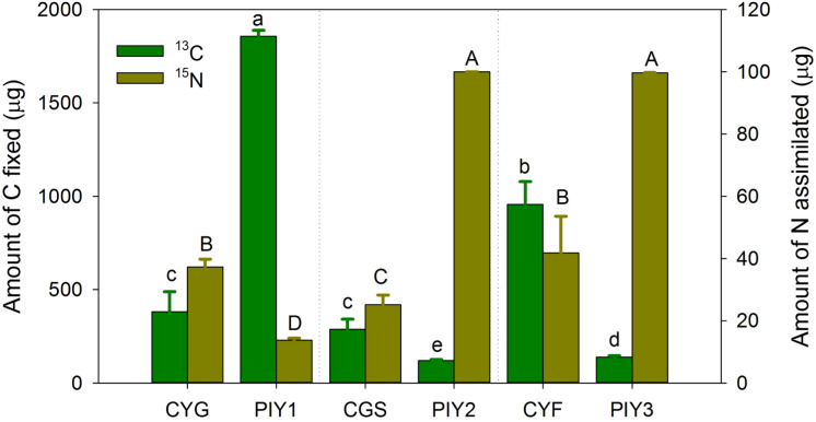 Figure 7