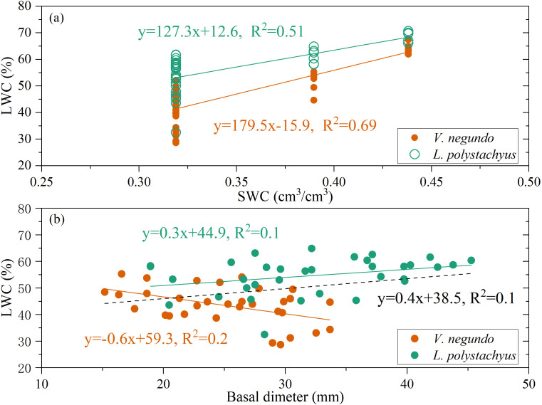 Figure 5
