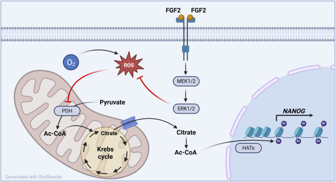 FIGURE 6