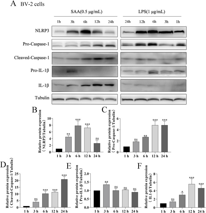 FIGURE 3