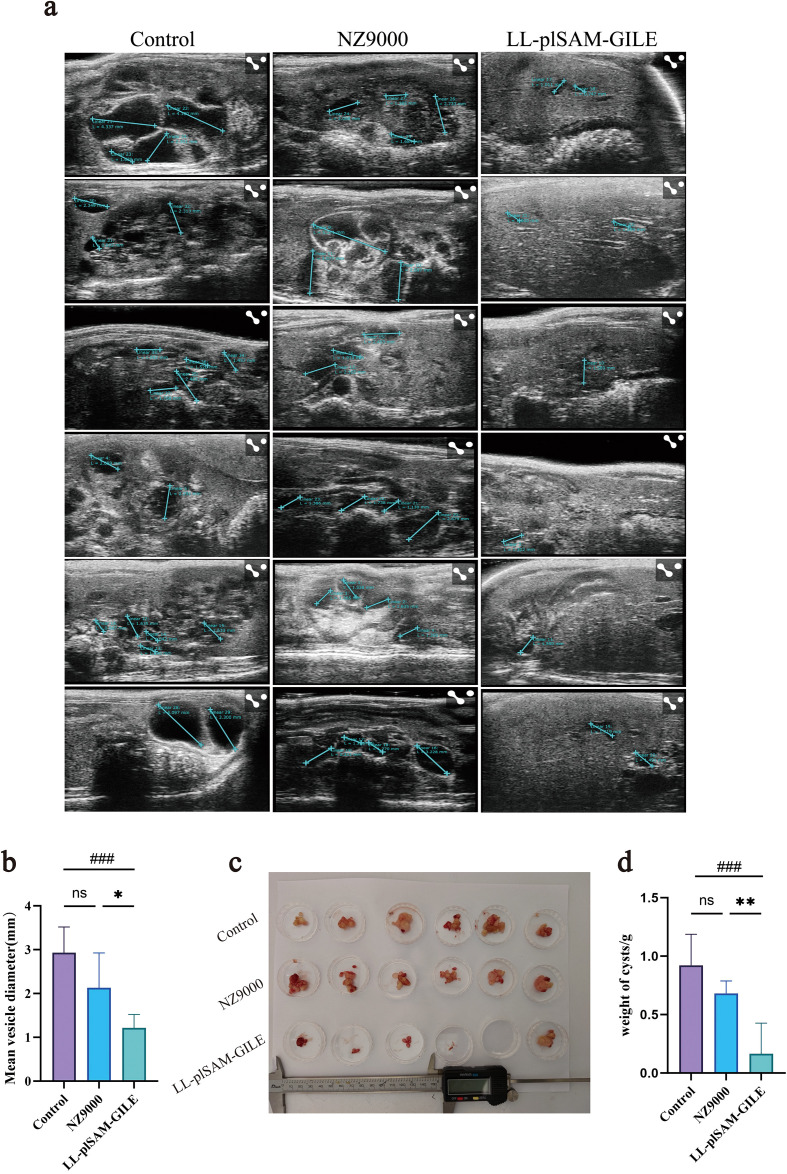 Figure 6