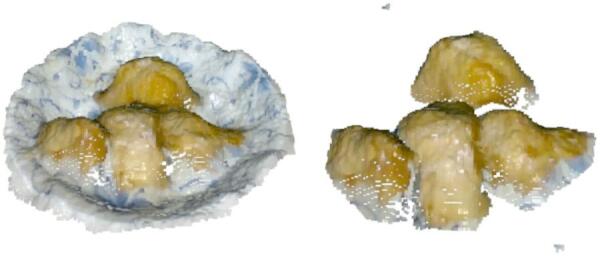 Figure 19
