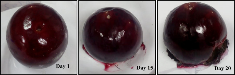 Figure 16