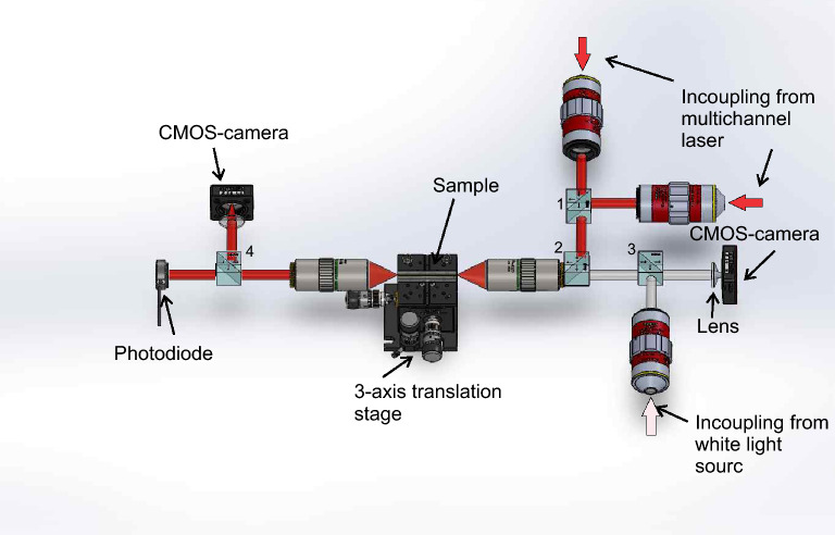 Figure 2