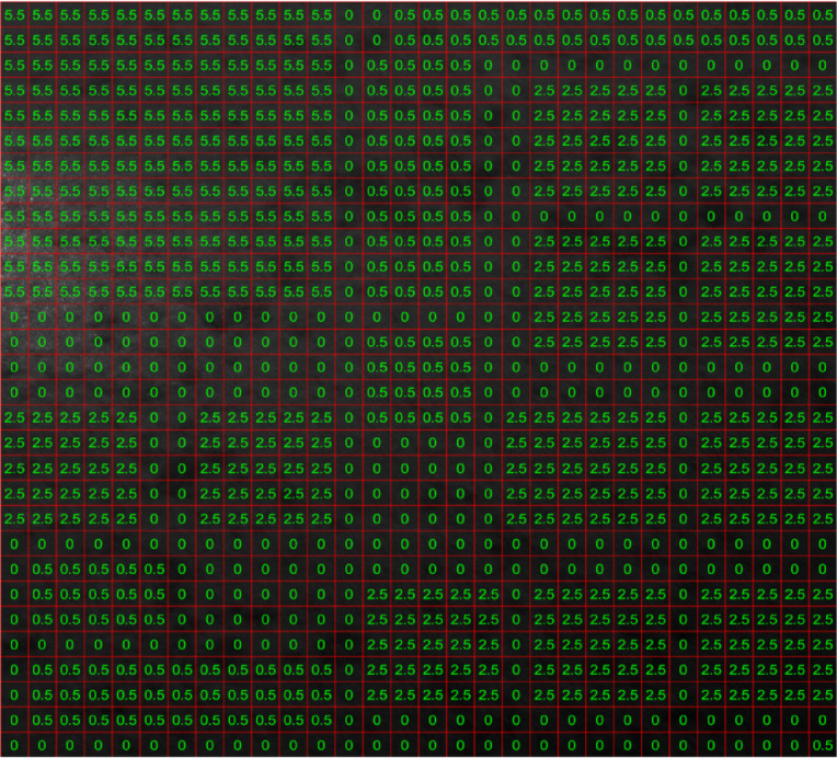 Figure 10