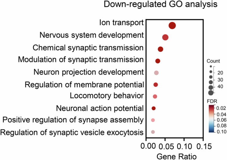 Figure 17