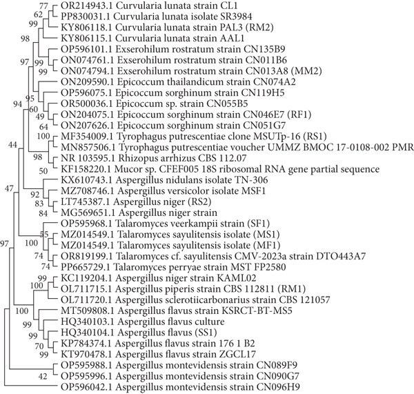 Figure 6